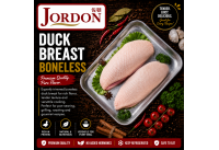 Frozen Duck