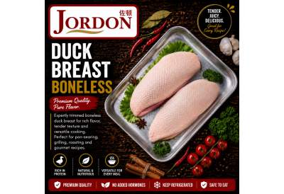 Frozen Duck