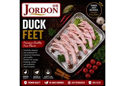 Frozen Duck
