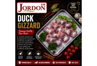 Frozen Duck