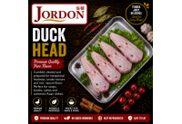 Frozen Duck