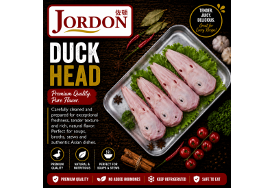 Frozen Duck
