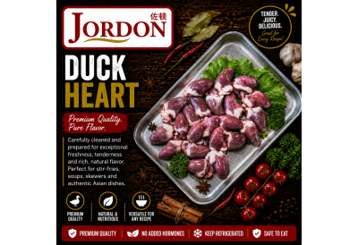 Frozen Duck