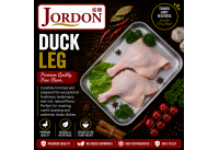 Frozen Duck