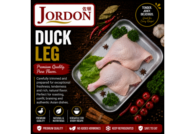 Frozen Duck