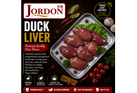 Frozen Duck