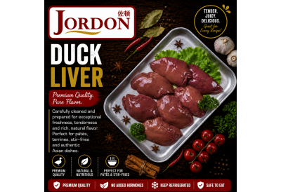 Frozen Duck