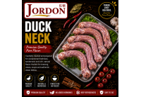 Frozen Duck