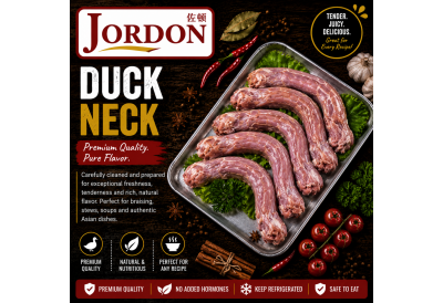 Frozen Duck