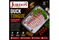 Frozen Duck