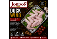 Frozen Duck