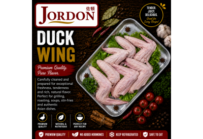 Frozen Duck