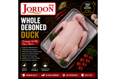 Frozen Duck