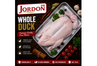 Frozen Duck