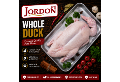 Frozen Duck